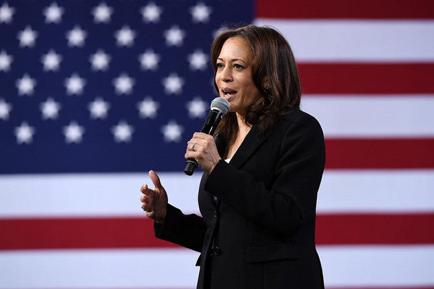 Democrats Favor Harris Over Biden for 2024, Poll Reveals